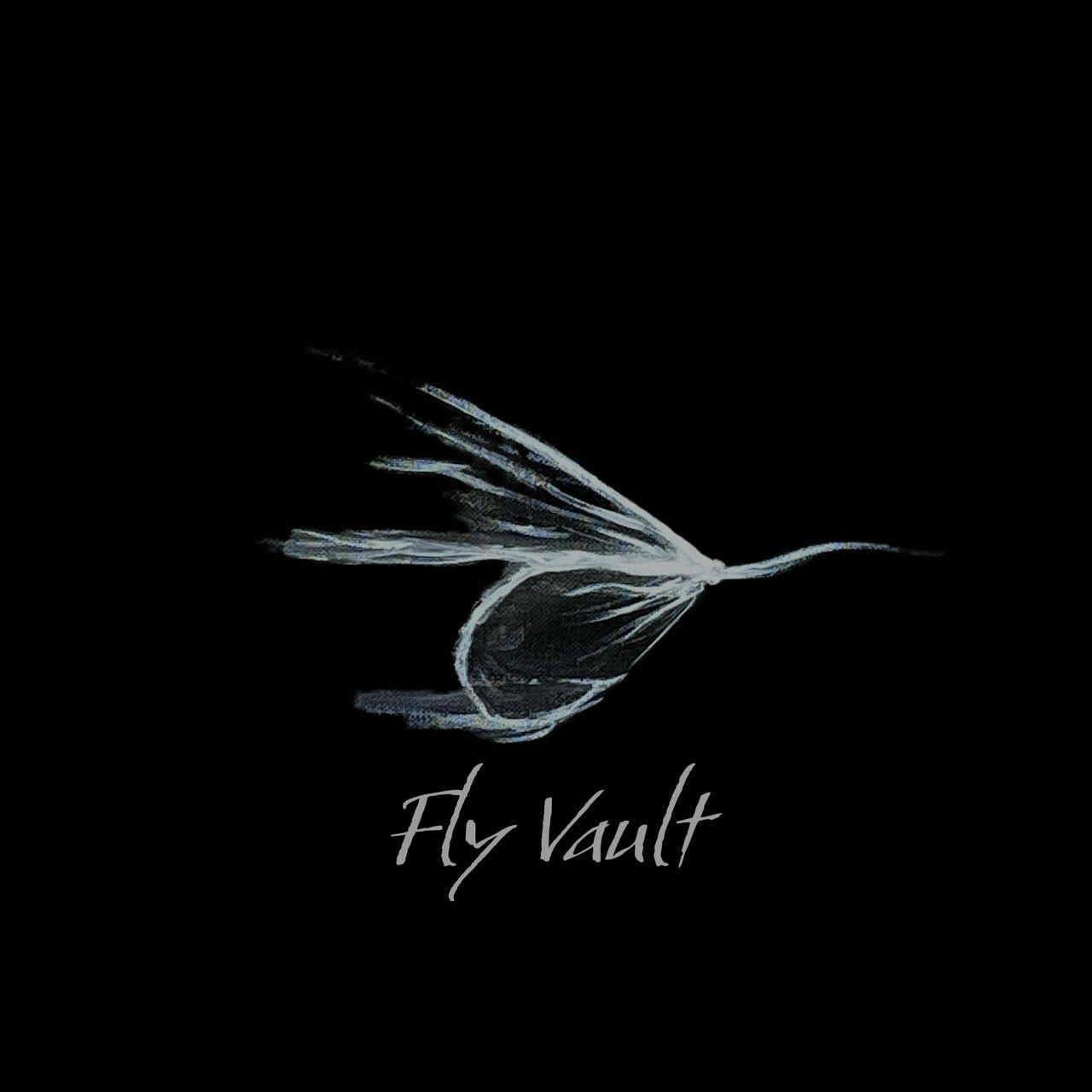 Fly Vault